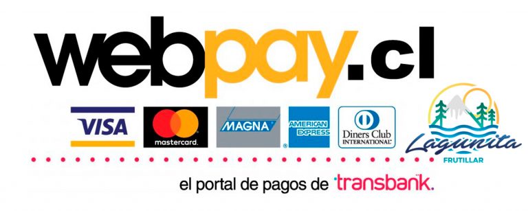 Imagen Logo web pay