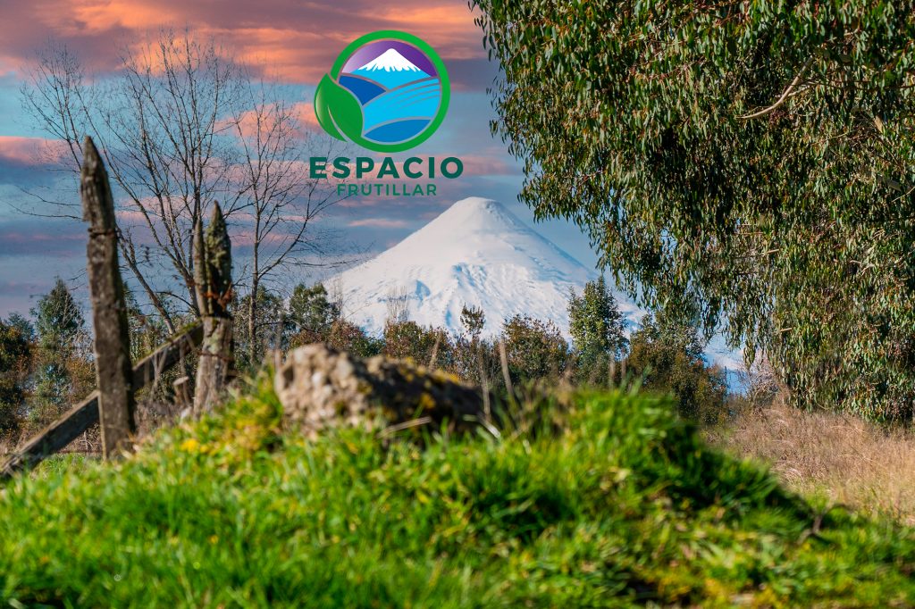 Imagen Volcán Osorno + Logo Espacio Frutillar 2
