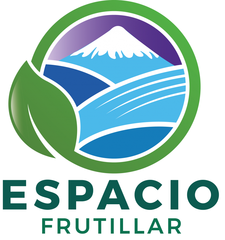 Logo Espacio Frutillar verde