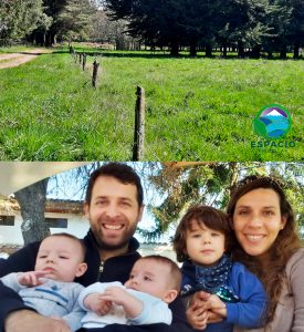 Imagen representativa venta parcela en Frutillar