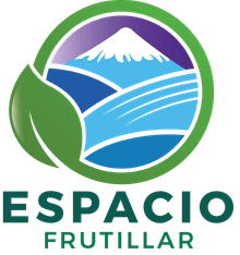 Espacio Frutillar